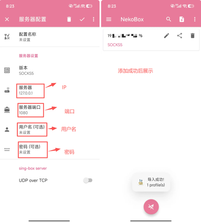 Nekobox配置教程 - 操作步骤图 5