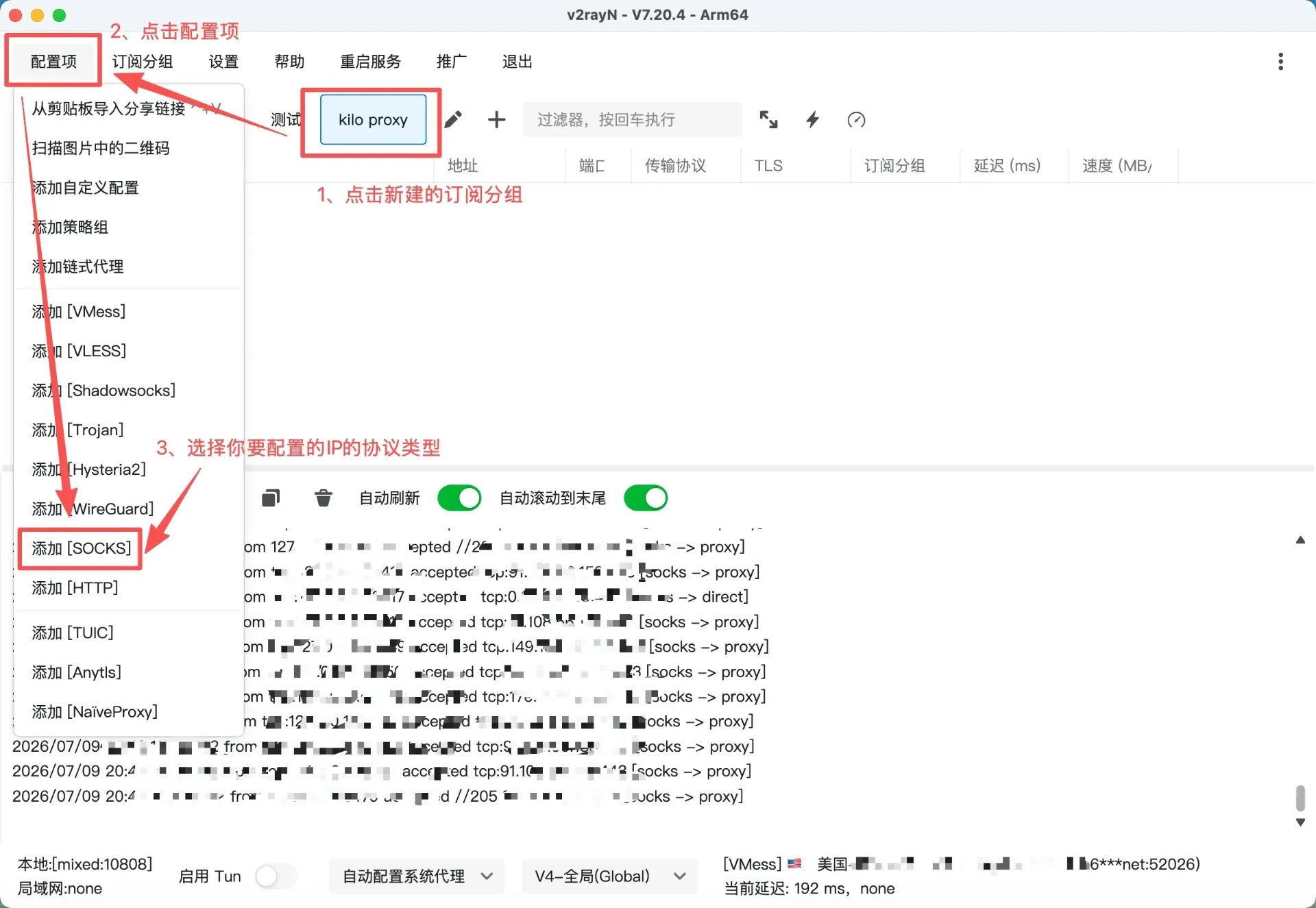 v2rayN配置教程 - 操作步骤图 3
